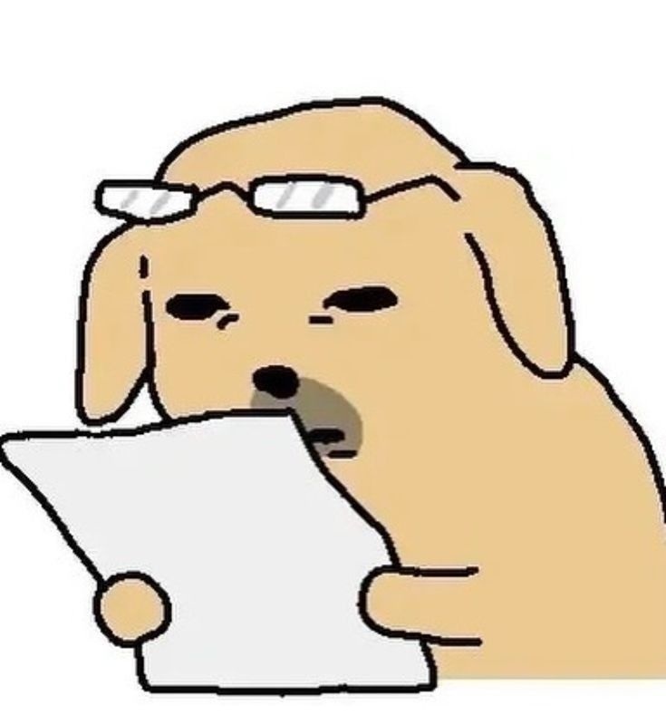 dawg
